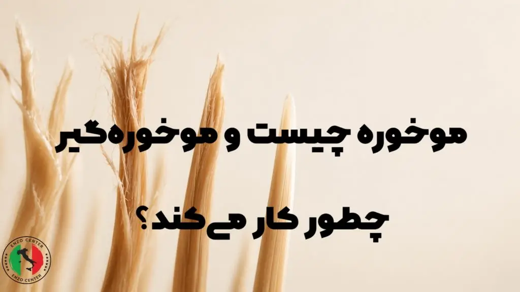 موخوره گیر چیست